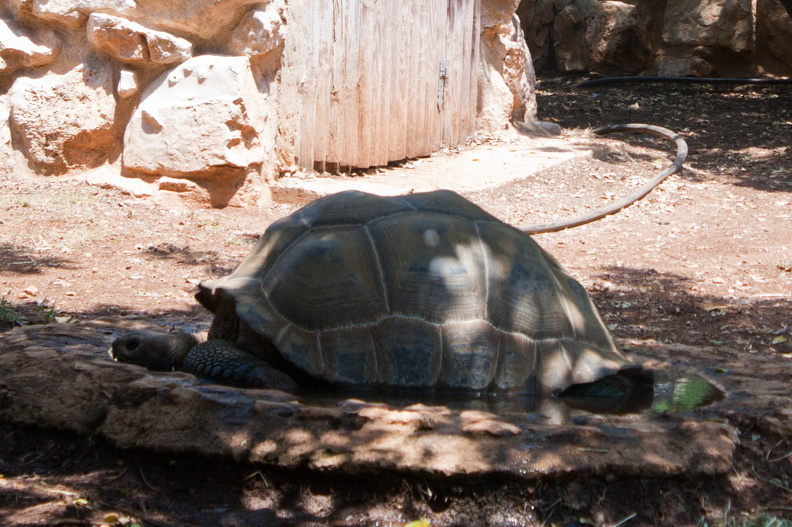 20120724_Cyprus_084.jpg